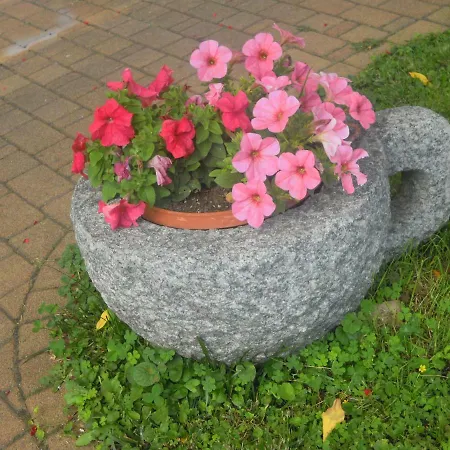 Il Nido Del Merlo Parcheggio E Giardino Verbania